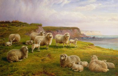 Moutons sur une côte du Dorset - Charles Jones